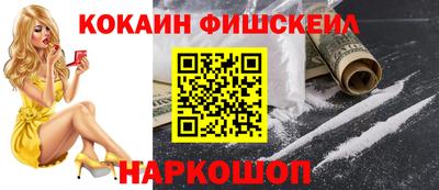 кокс Кингисепп