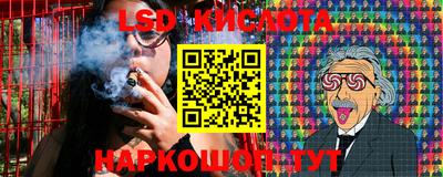 эйфоретик Кимры