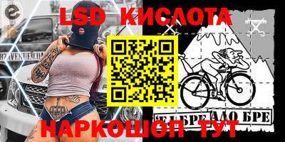 кокс Кингисепп