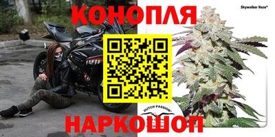 эйфоретик Кимры