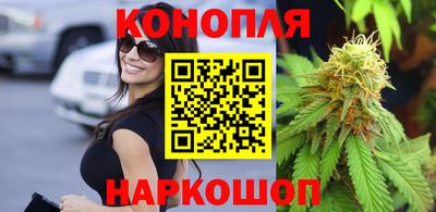 кокс Кингисепп